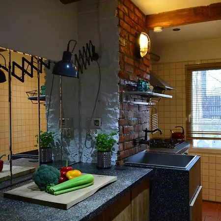 Villa Mlyn Z Pasja *