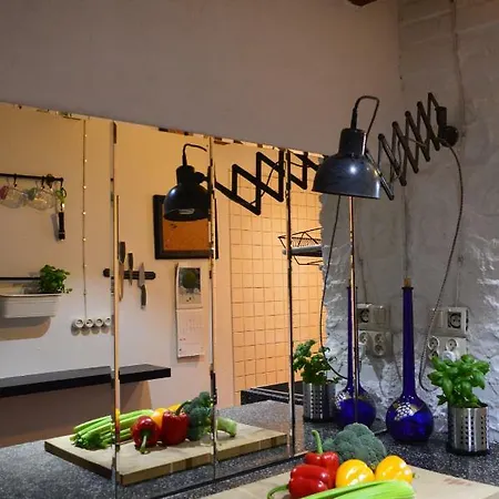 Villa Mlyn Z Pasja *