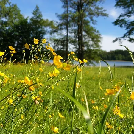 Mlyn Z Pasja Villa *